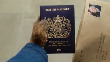 Backdrop to the movie "Paddington in Peru" #567552