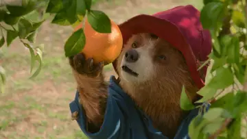 Backdrop to the movie "Paddington in Peru" #567557