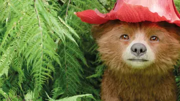 Backdrop to the movie "Paddington in Peru" #567619