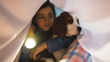 Backdrop to the movie "A Dog