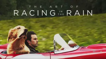Backdrop to the movie "The Art of Racing in the Rain" #716557