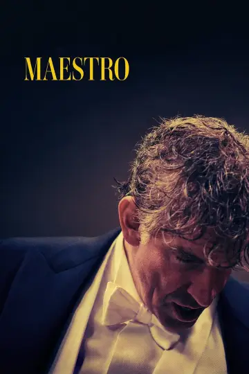 Poster to the movie "Maestro" #100333