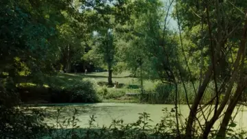 Backdrop to the movie "Maestro" #664817