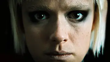 Backdrop to the movie "Dogs Don