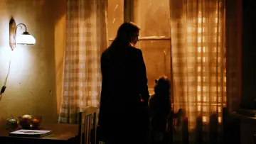 Backdrop to the movie "Dogs Don