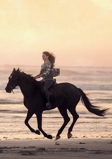 Poster to the movie "Black Beauty" #179873