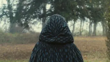 Backdrop to the movie "Portrait of a Lady on Fire" #709695