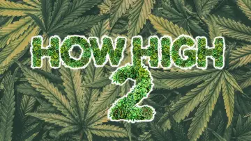 Backdrop to the movie "How High 2" #1038627