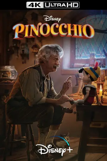 Poster to the movie "Pinocchio" #59584