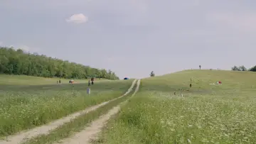 Backdrop to the movie "Midsommar" #588997
