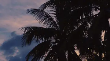 Backdrop to the movie "Waves" #844738