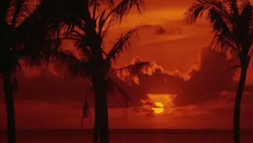 Backdrop to the movie "Japanese Godfather: Conclusion" #1042818