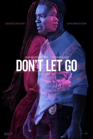 Poster to the movie "Don