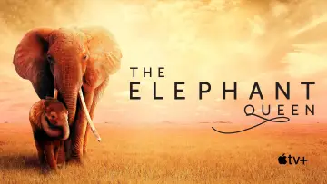 Backdrop to the movie "The Elephant Queen" #1065837