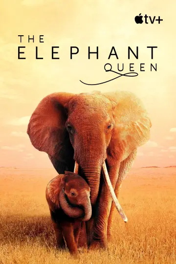 Poster to the movie "The Elephant Queen" #1065858