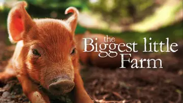Backdrop to the movie "The Biggest Little Farm" #1109137
