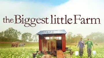 Backdrop to the movie "The Biggest Little Farm" #1109138