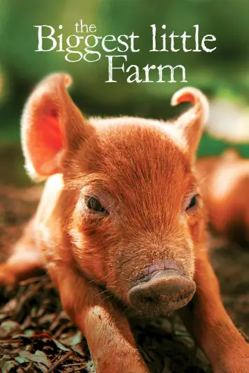 Poster to the movie "The Biggest Little Farm" #1109142