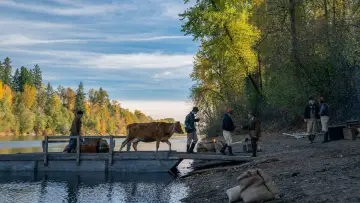Backdrop to the movie "First Cow" #241025