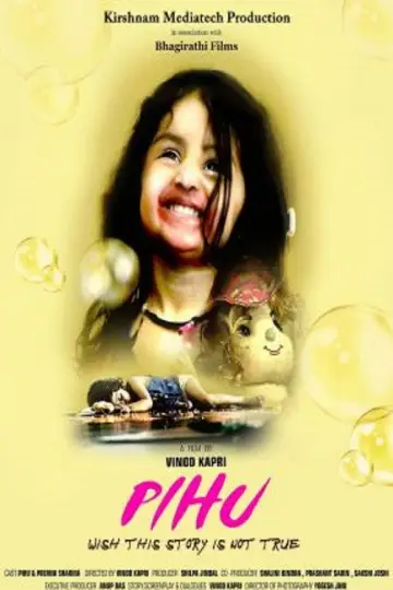 Poster to the movie "Pihu" #872004