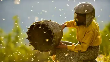 Backdrop to the movie "Honeyland" #1095042