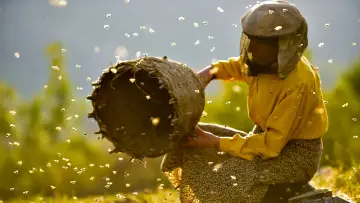 Backdrop to the movie "Honeyland" #452794