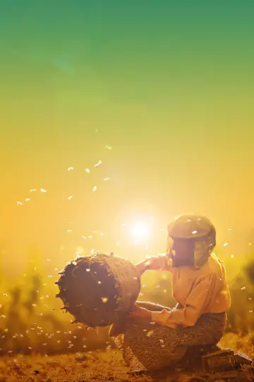 Poster to the movie "Honeyland" #474661