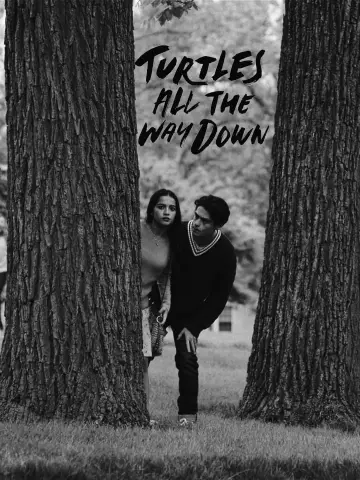 Poster to the movie "Turtles All the Way Down" #472222