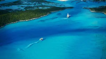Backdrop to the movie "Fyre Fraud" #1041801