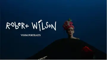 Backdrop to the movie "Voom Portraits" #1131183
