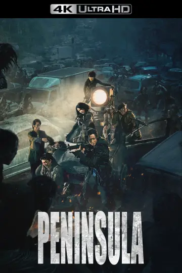 Poster to the movie "Peninsula" #731016