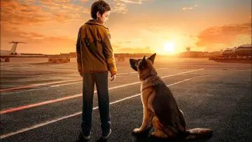 Backdrop to the movie "A Dog Named Palma" #357394