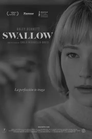 Poster to the movie "Swallow" #884717