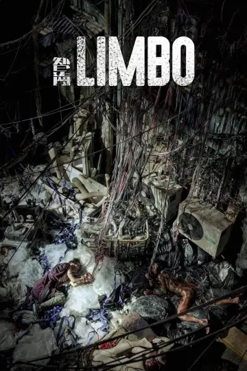 Poster to the movie "Limbo" #1026836