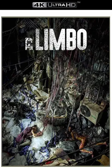Poster to the movie "Limbo" #1026841