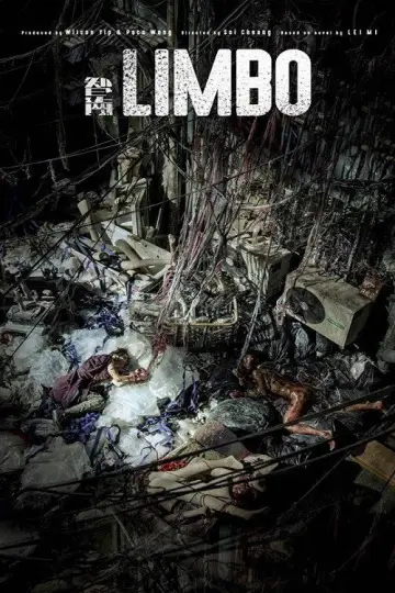 Poster to the movie "Limbo" #1026846