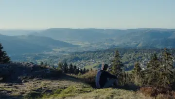 Backdrop to the movie "The Bare Necessity" #705214