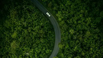 Backdrop to the movie "Hillbilly Elegy" #266034