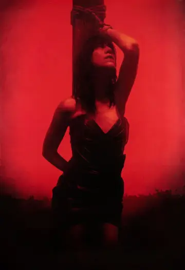 Poster to the movie "Lux Æterna" #705187
