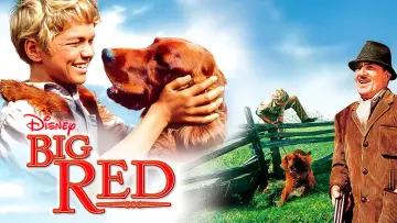 Backdrop to the movie "Big Red" #743544