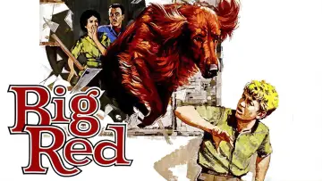 Backdrop to the movie "Big Red" #743545
