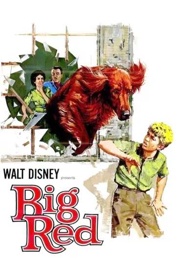 Poster to the movie "Big Red" #743550