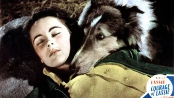 Backdrop to the movie "Courage of Lassie" #1118746