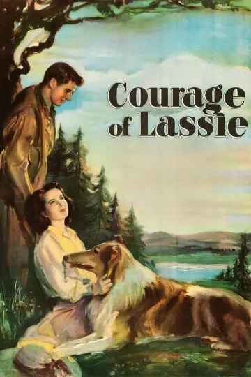 Poster to the movie "Courage of Lassie" #1118750