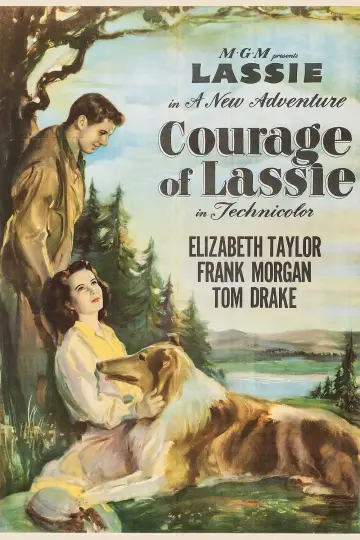 Poster to the movie "Courage of Lassie" #1118751