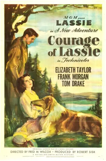 Poster to the movie "Courage of Lassie" #1118752