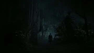 Backdrop to the movie "Dark Shadows" #647397