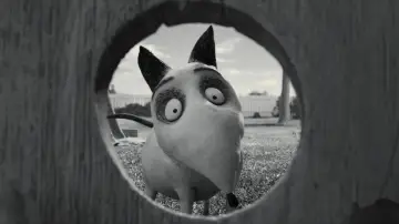 Backdrop to the movie "Frankenweenie" #1201418