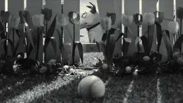 Backdrop to the movie "Frankenweenie" #806920