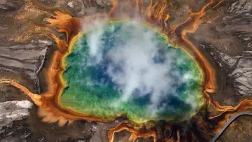 Backdrop to the movie "Home" #435434